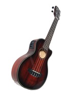 breedlove pursuit ex cu ce bc2 